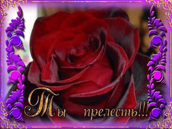 Спасибо очень красивые цветочки