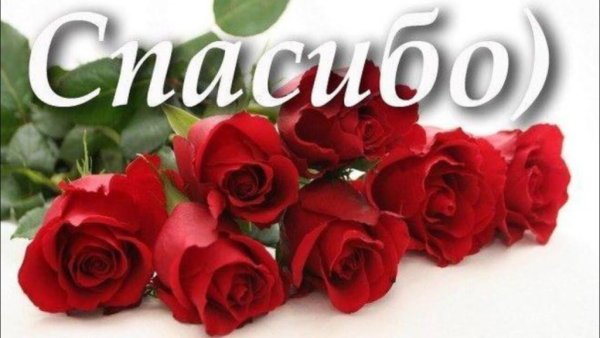 Супер красиво открытки