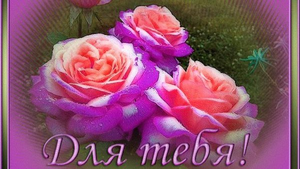 Цветы для Ларисы