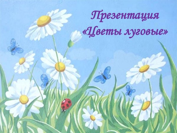 Ромашковое поле для детей