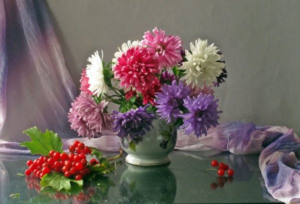 Астры ЦЛ 091001