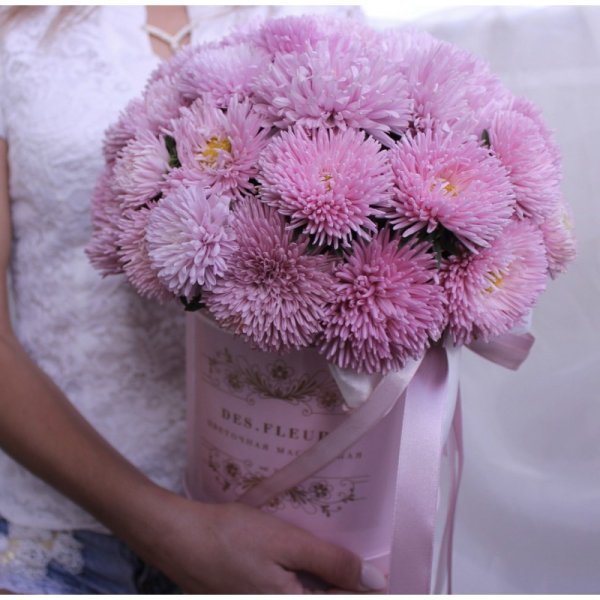 Хризантема Allouise Pink