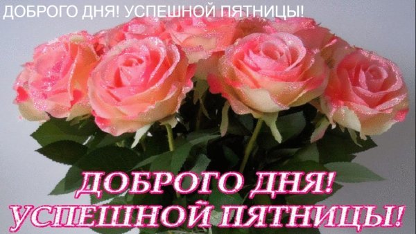 Доброй и успешной пятницы