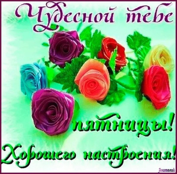 Доброе утро среда розы