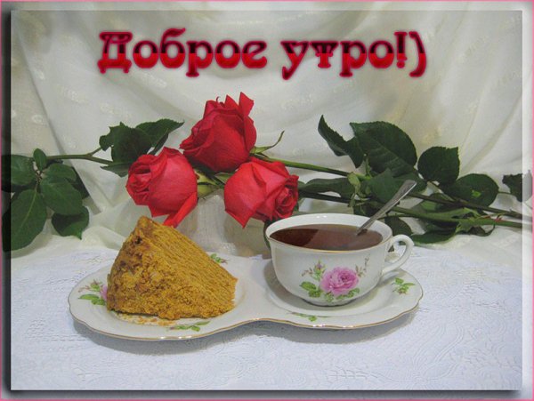 Доброе утро! Пусть день принесет радость и счастье.