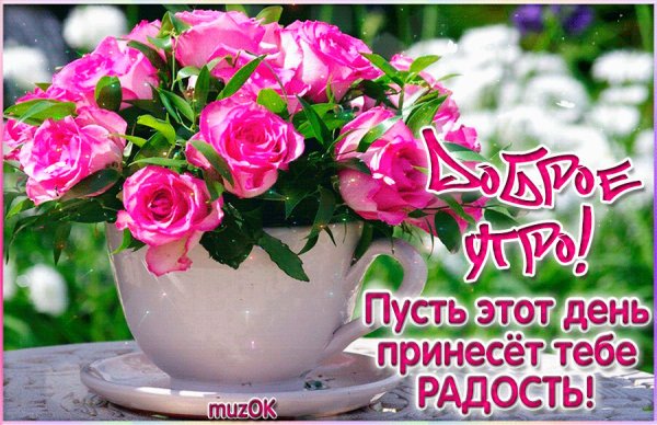 Доброе утро пятницы