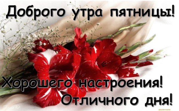 Доброго пятничного утра и отличного настроения