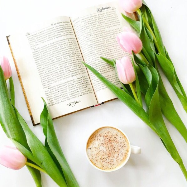 Тюльпаны и книги