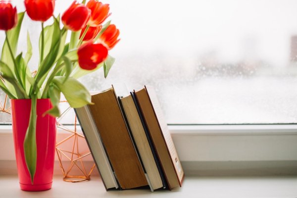 Тюльпаны и книжка