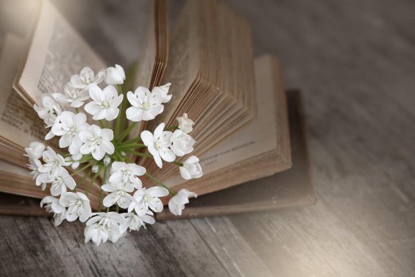 Книги о весне