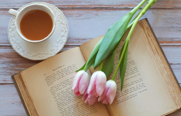 Весна книга цветы