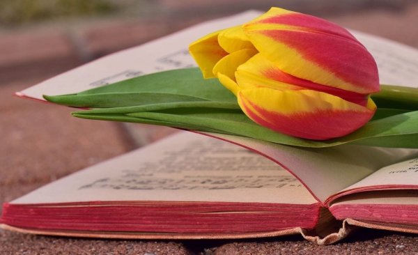 Весенние цветы книжный