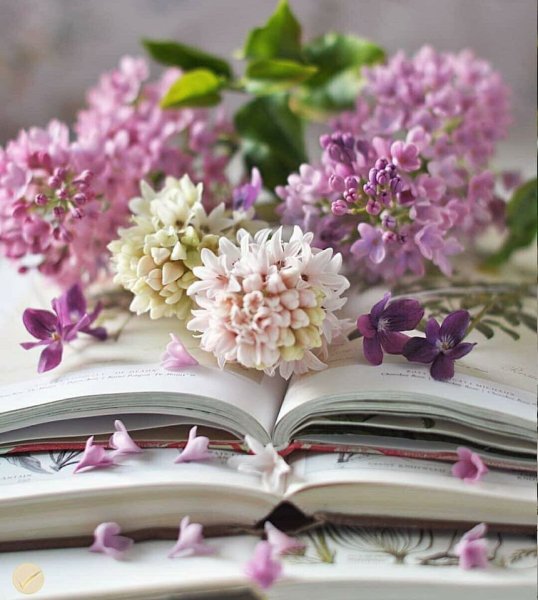 Букет цветов и книга