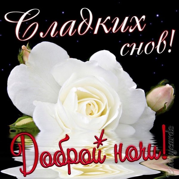Добрых снов до завтра