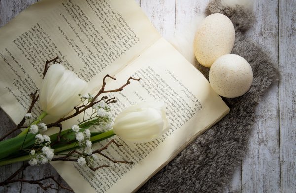 Книги о весне