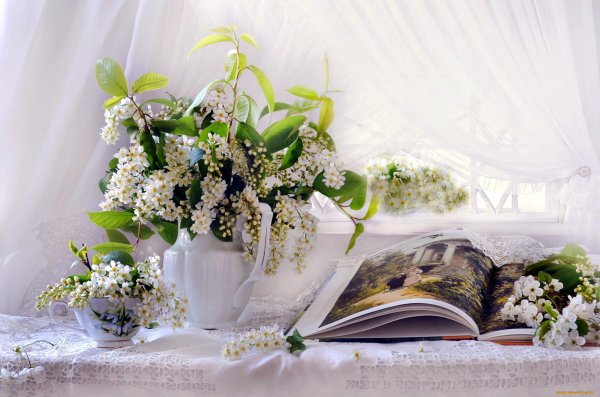 Раскрытая книга с веточкой