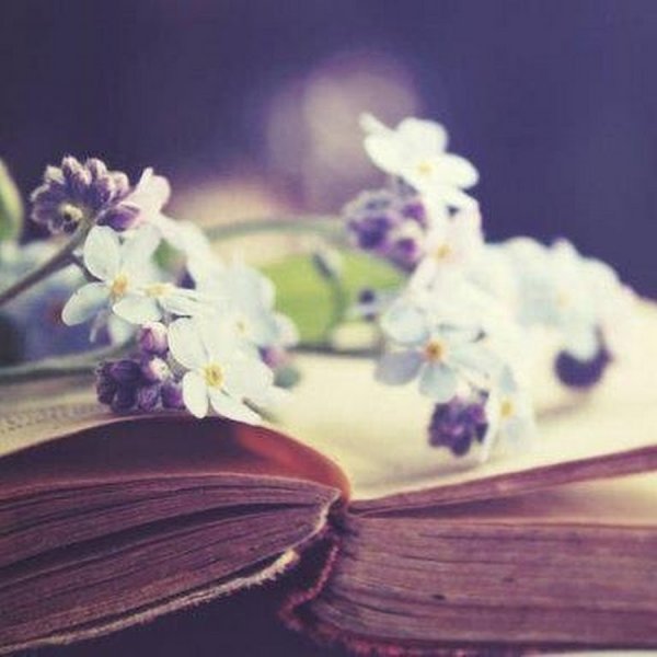 Книга с цветами
