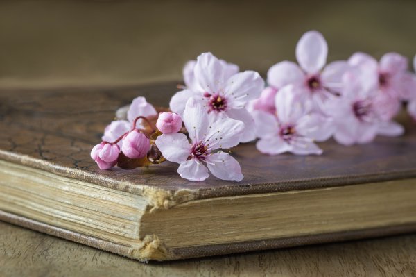 Книги о весне