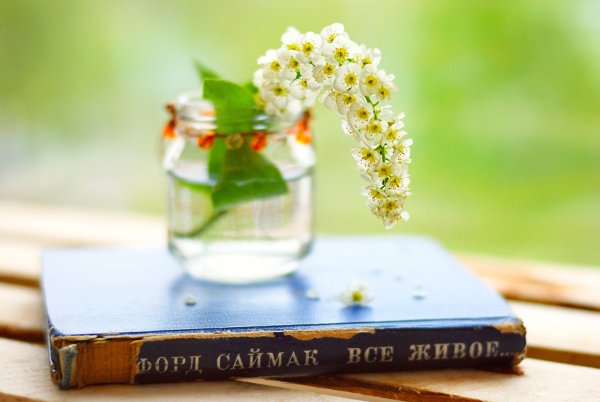 Книжная Весна