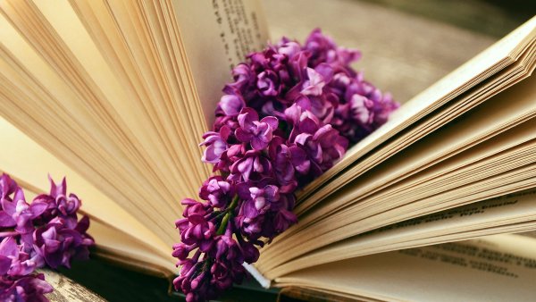 Книжка весенние цветы