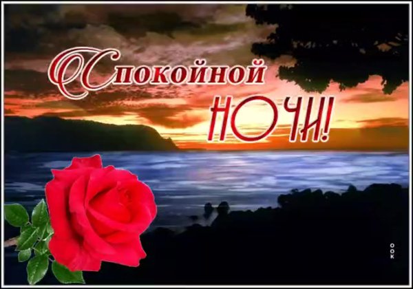 Цветы нежных снов