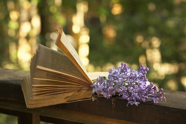 Книжный цветок