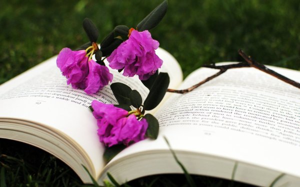 Весна книга цветы
