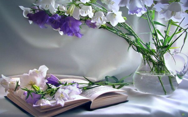 Книги с цветами на прозрачном фоне