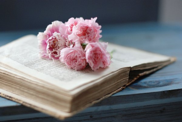 Раскрытая книга