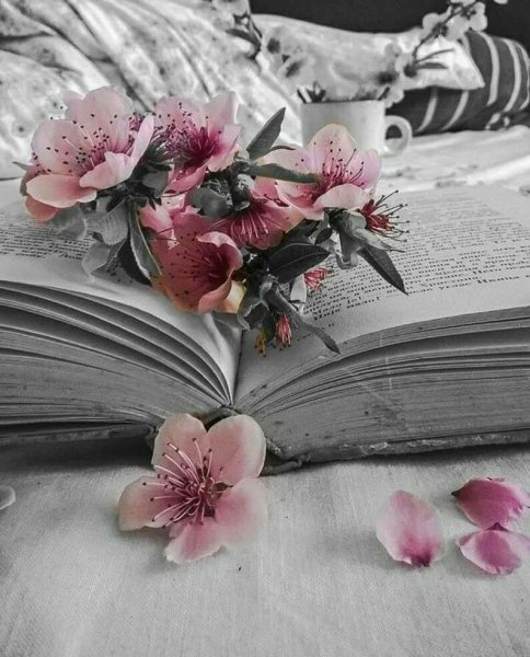 Книги и голубые цветы