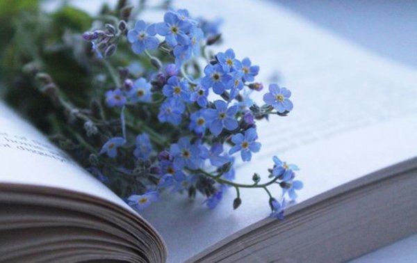 Открытки с книгой и цветами