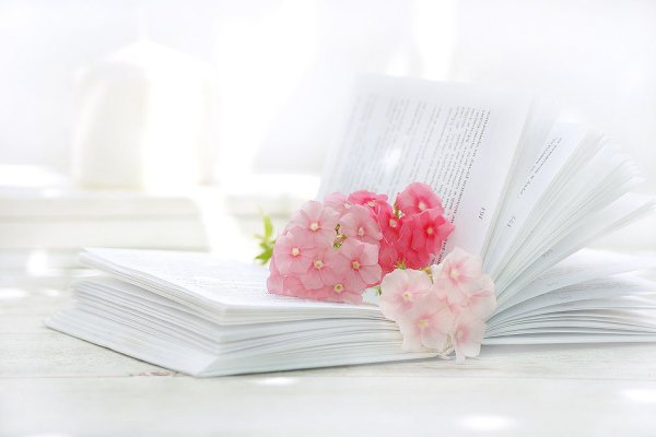 Открытая книга и цветы