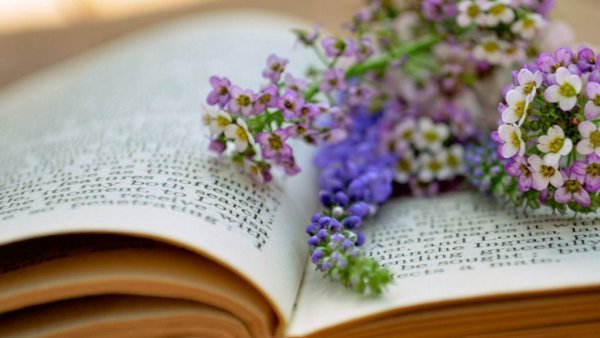 Открытка книга