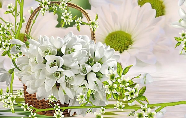 Открытки с подснежниками