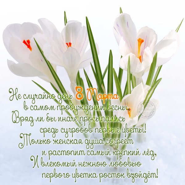 С днём рождения подруге