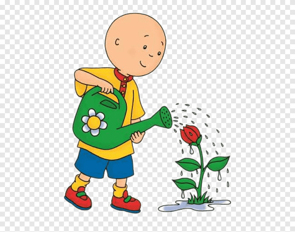 Мальчик с лейкой