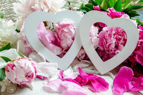 Сердце из лепестков роз