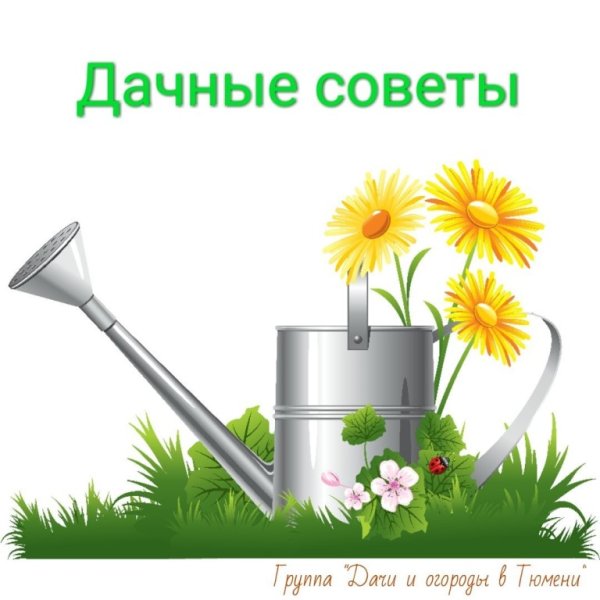 Лейка с глазами