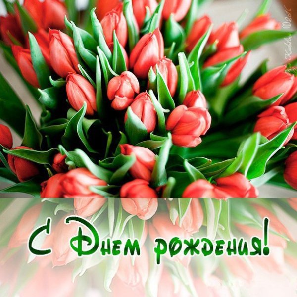 Открытка цветы тюльпаны с днем рождения
