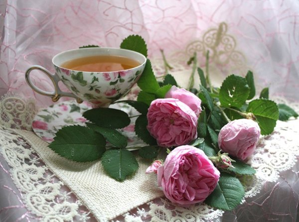 Утро чай розы