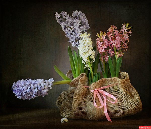 Орлова Марина натюрморты
