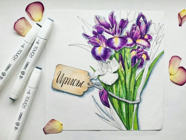 Лиза Краснова скетчинг