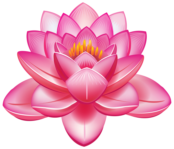 Hibiscus Flower