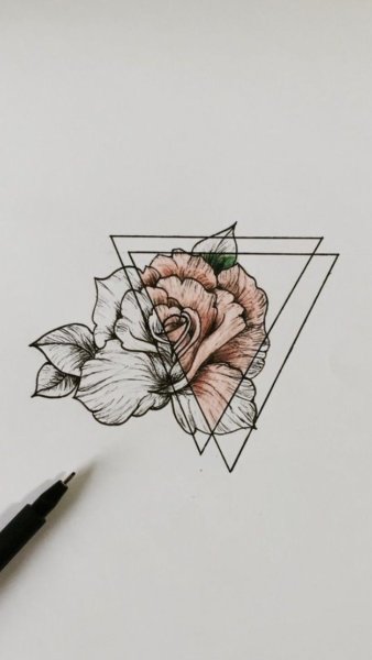 Рисунки для срисовки контур