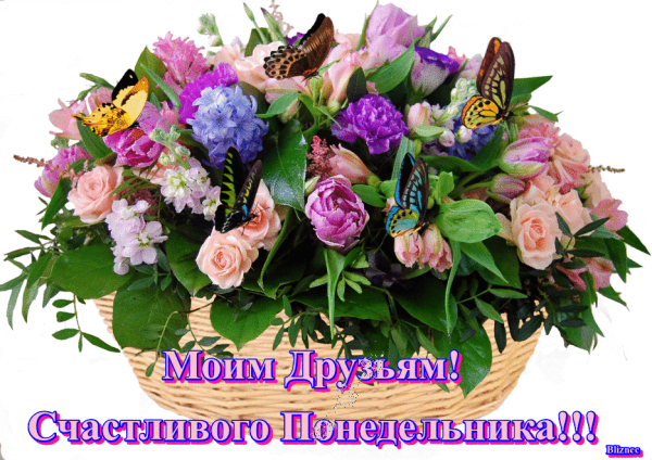 С понедельником друзья