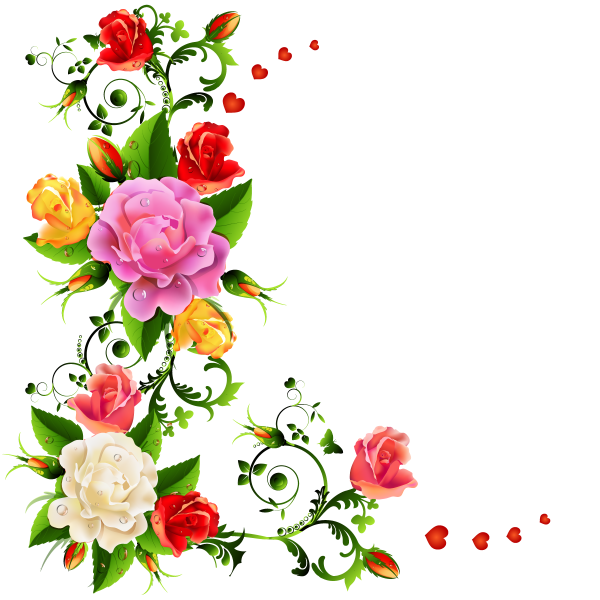 Barnali Bagchi фуксия