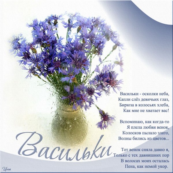 Ромашки и васильки на столе