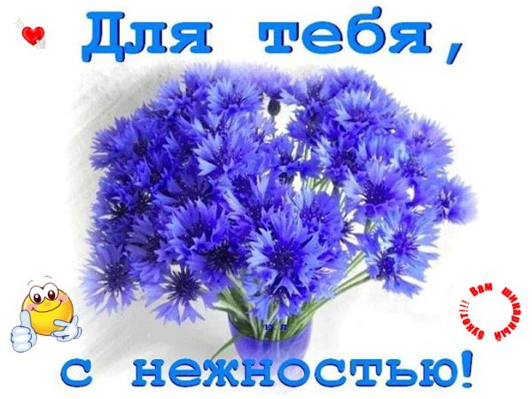 Открытки с васильками с днем рождения