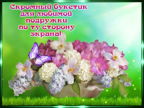Цветы и добрые пожелания женщине
