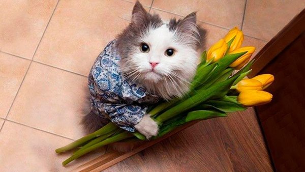Поздравление с 18 летием девушке